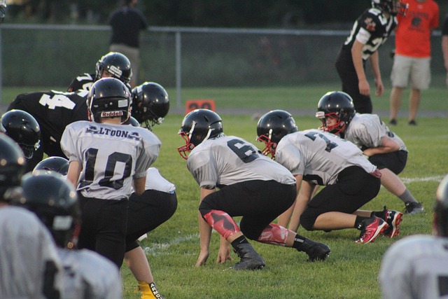 的年轻球员 的年轻球员