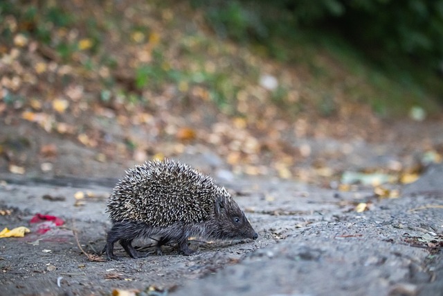 候变化事务 候变化事务