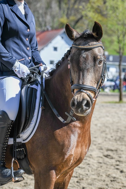 验丰富的后 验丰富的后