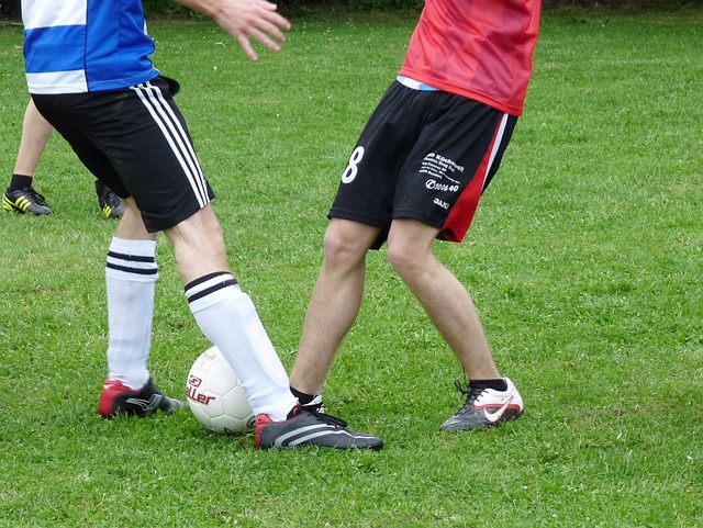 心理素质和 心理素质和