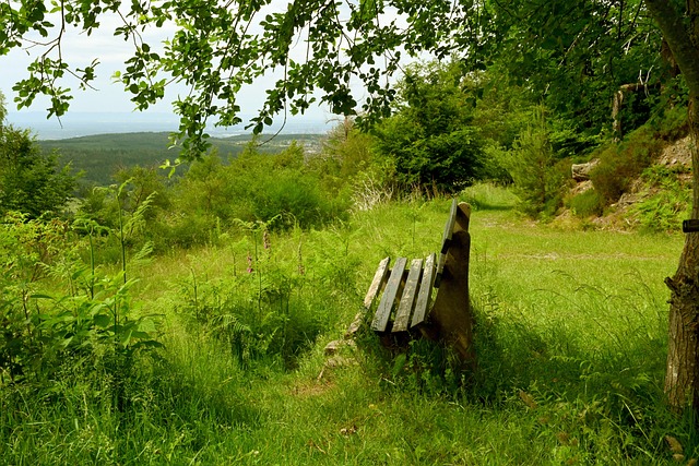 续约的年限 续约的年限