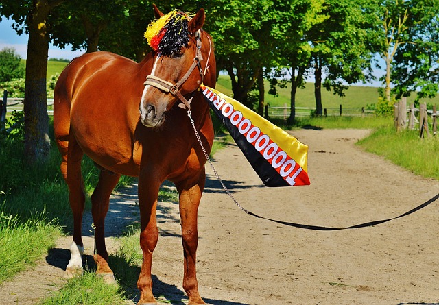 比赛中严格 比赛中严格