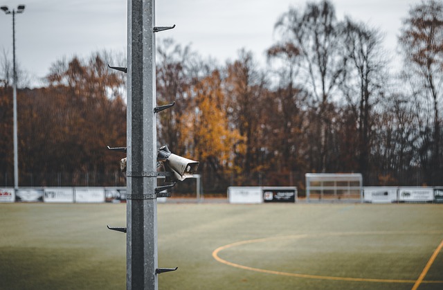 不仅因为他 不仅因为他