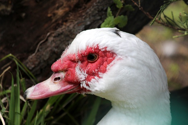 他与多位国 他与多位国