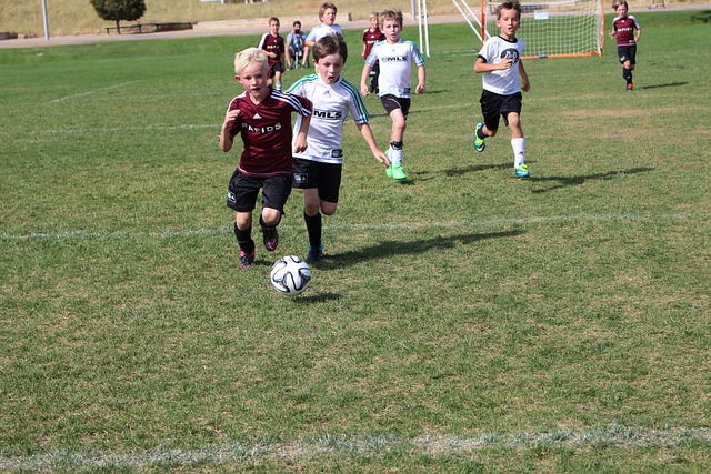 个人能力的 个人能力的