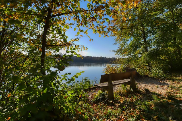 的小組賽勝 的小組賽勝